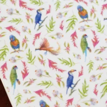 A Bird's Paradise Planner IM 2 A Bird's Paradise planner interior with illustrated bird details